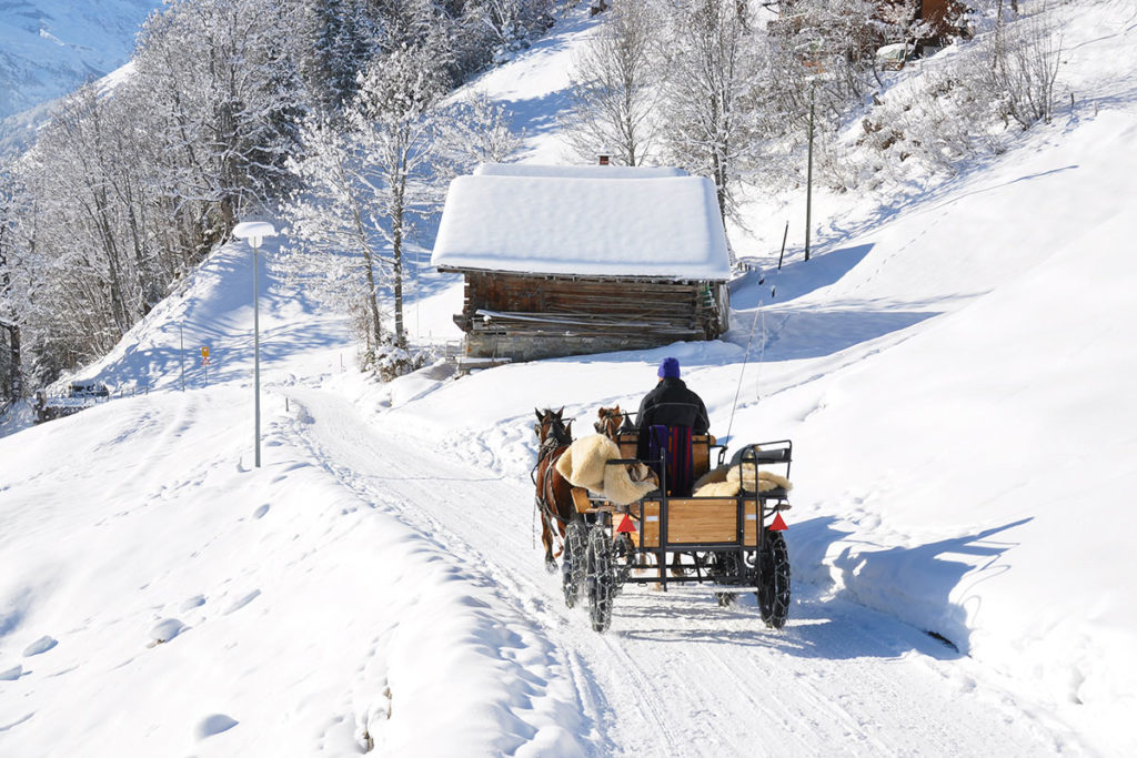 Aparthotel am See, Winterurlaub im Snow Space Salzburg und Ski amadé, Pferdeschlittenfahrt in Flachau